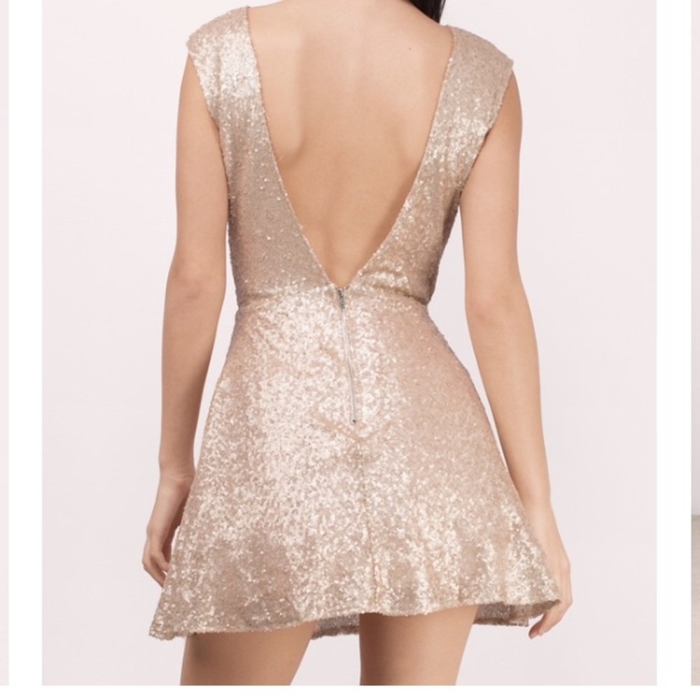 Tobi Matte Blush Skater Dress View 2